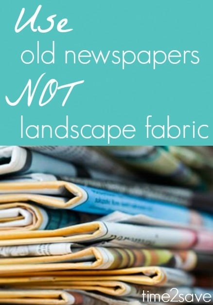 newspapers-landscape-fabric