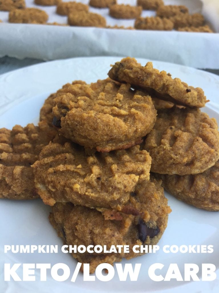 Keto Pumpkin Cookies with Chocolate Chips