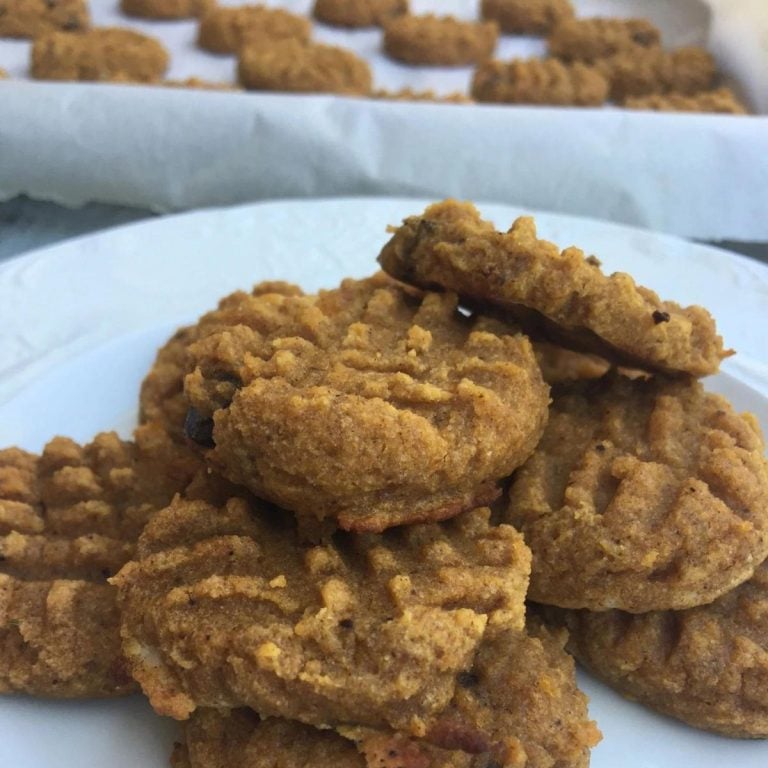 Keto Pumpkin Cookies with Chocolate Chips