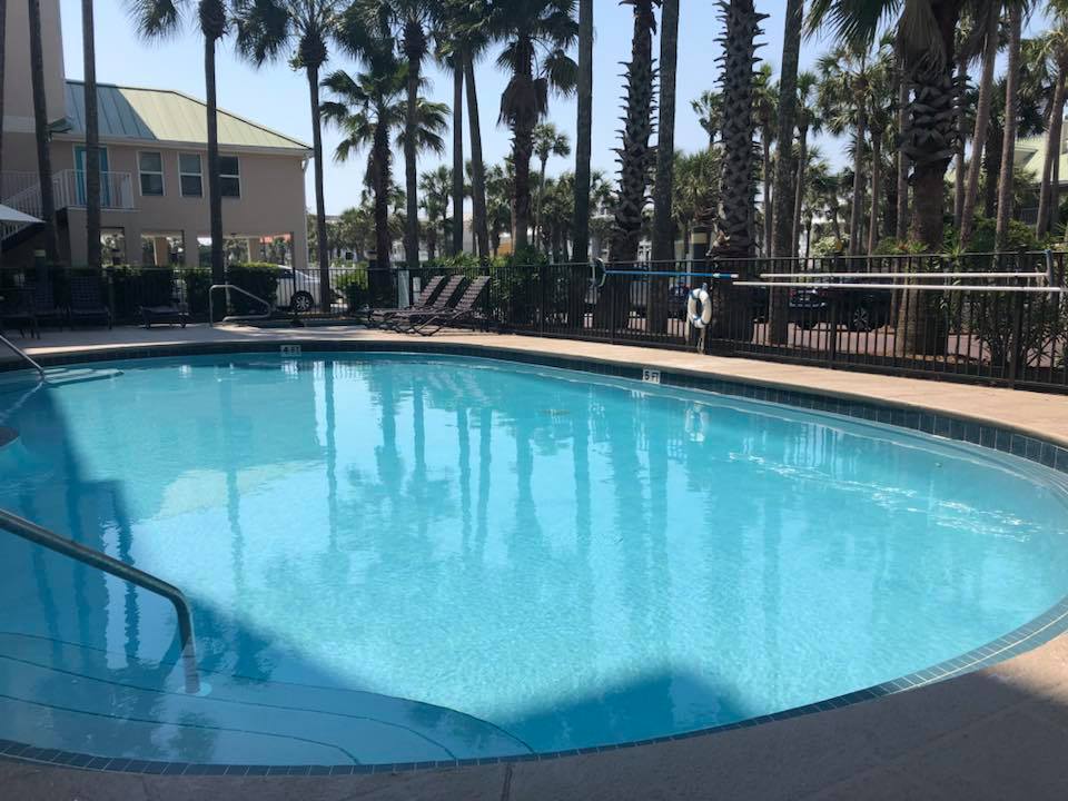 picture of pool with palm trees in background 