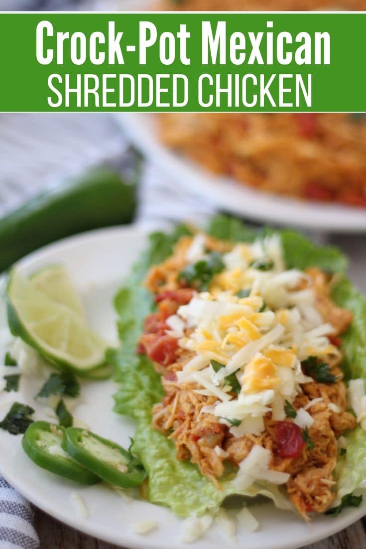 Best Low Carb Mexican Shredded Chicken {Crock-pot Recipe}
