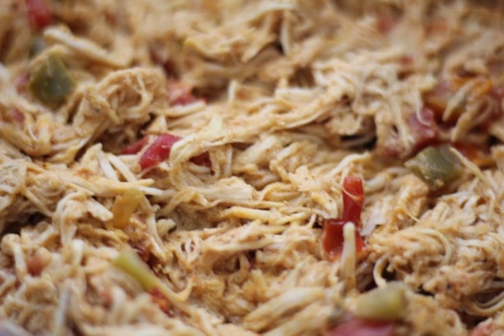 close up of Mexican shredded chicken
