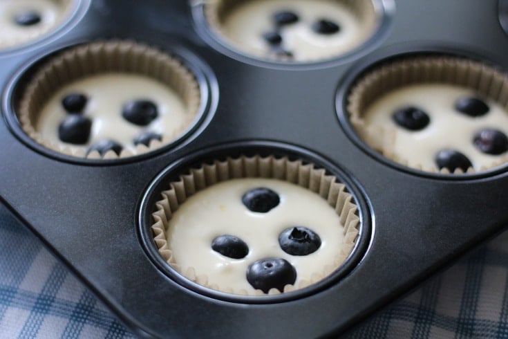 Cheesecake batter with blueberries on top in a muffin tin.