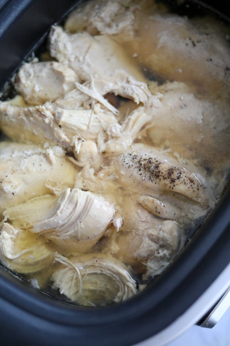 slow cooker with chicken breasts in water