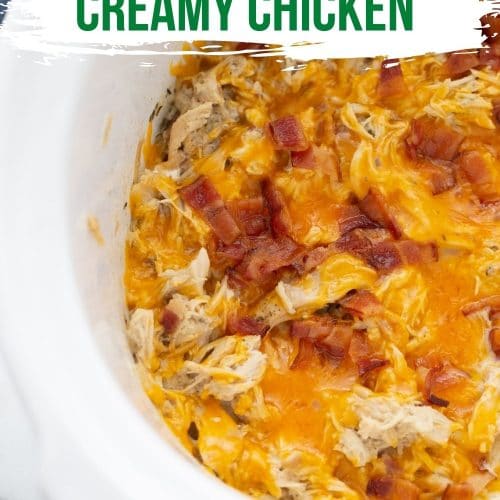 Healthy Slow Cooker Creamy Chicken Casserole Recipe • The Healthy