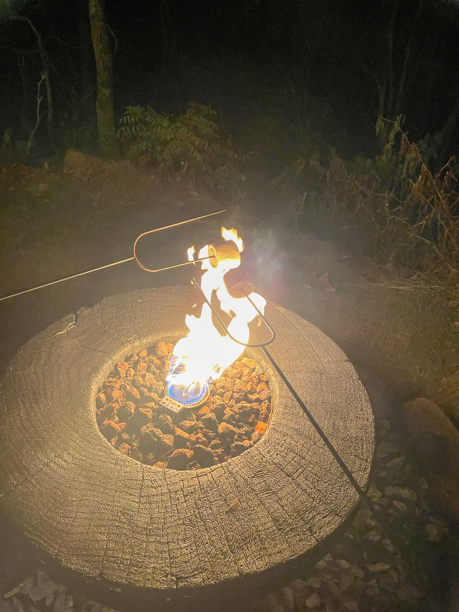 a stick over a fire roasting a marshmallow
