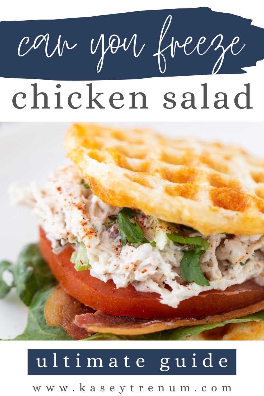 hero image with chicken salad sandwich asking can you freeze