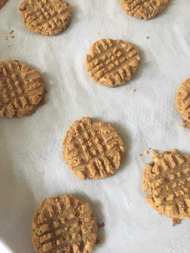 low-carb peanut butter cookies just baked out of the oven on parchment paper on a baking sheet