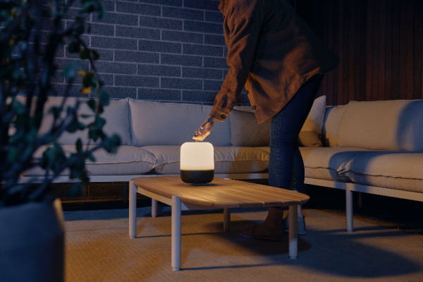 stock image of neighbor acorn lantern